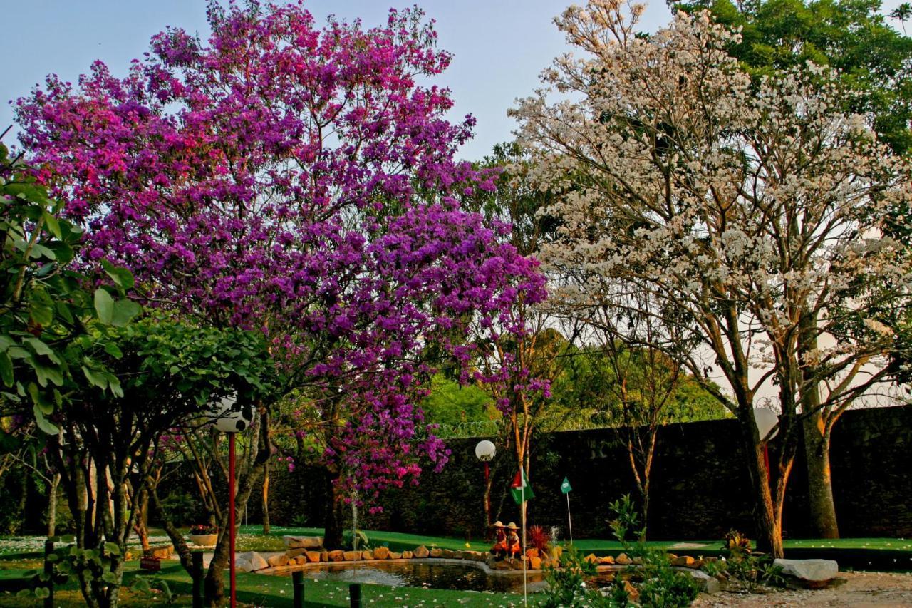 Villa Buonabitacolo São João del Rei Exteriér fotografie