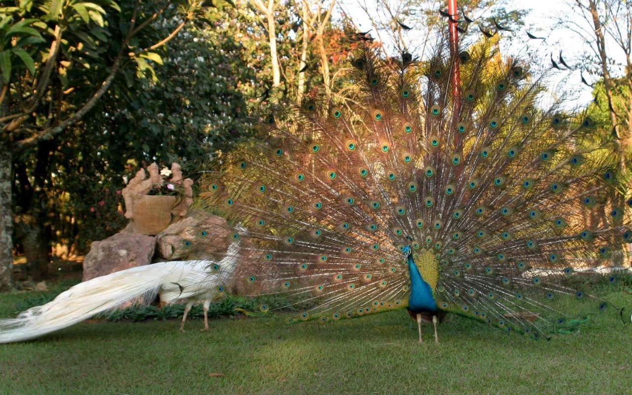 Villa Buonabitacolo São João del Rei Exteriér fotografie